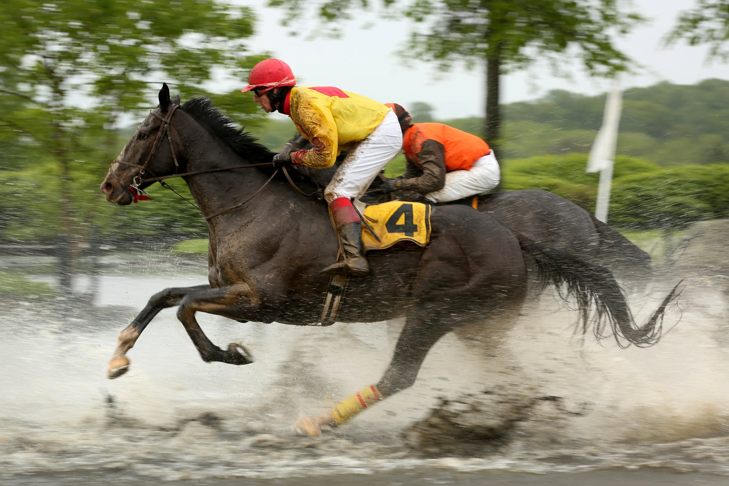  Gold Cup at The Plains, Virginia, October 28, 2017. (WJLA/ABC-7) 