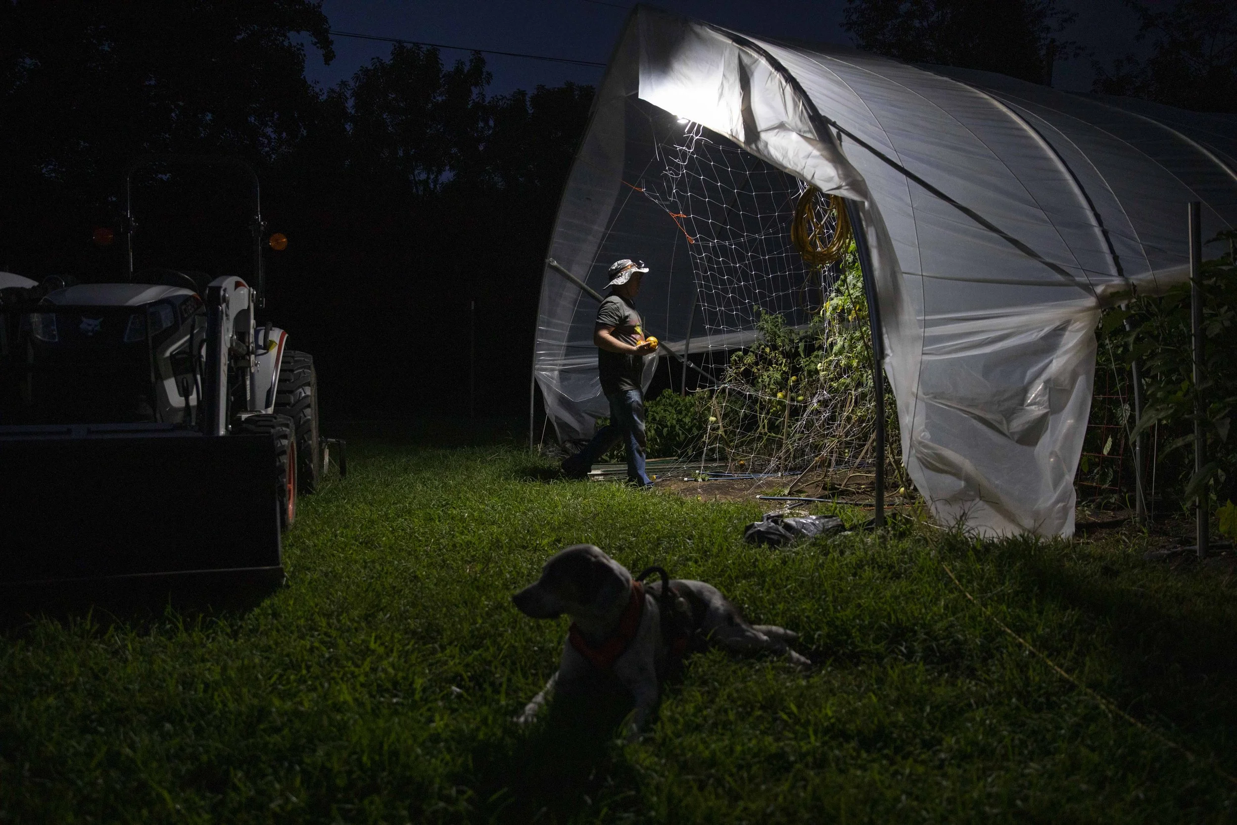  Mark Hines walks into one of his greenhouses so he can work on one of the final harvests of his season. Hines now works on his farm between 9 p.m. and 2 a.m. to avoid the heat. (Amanda Andrade-Rhoades for The Washington Post) 
