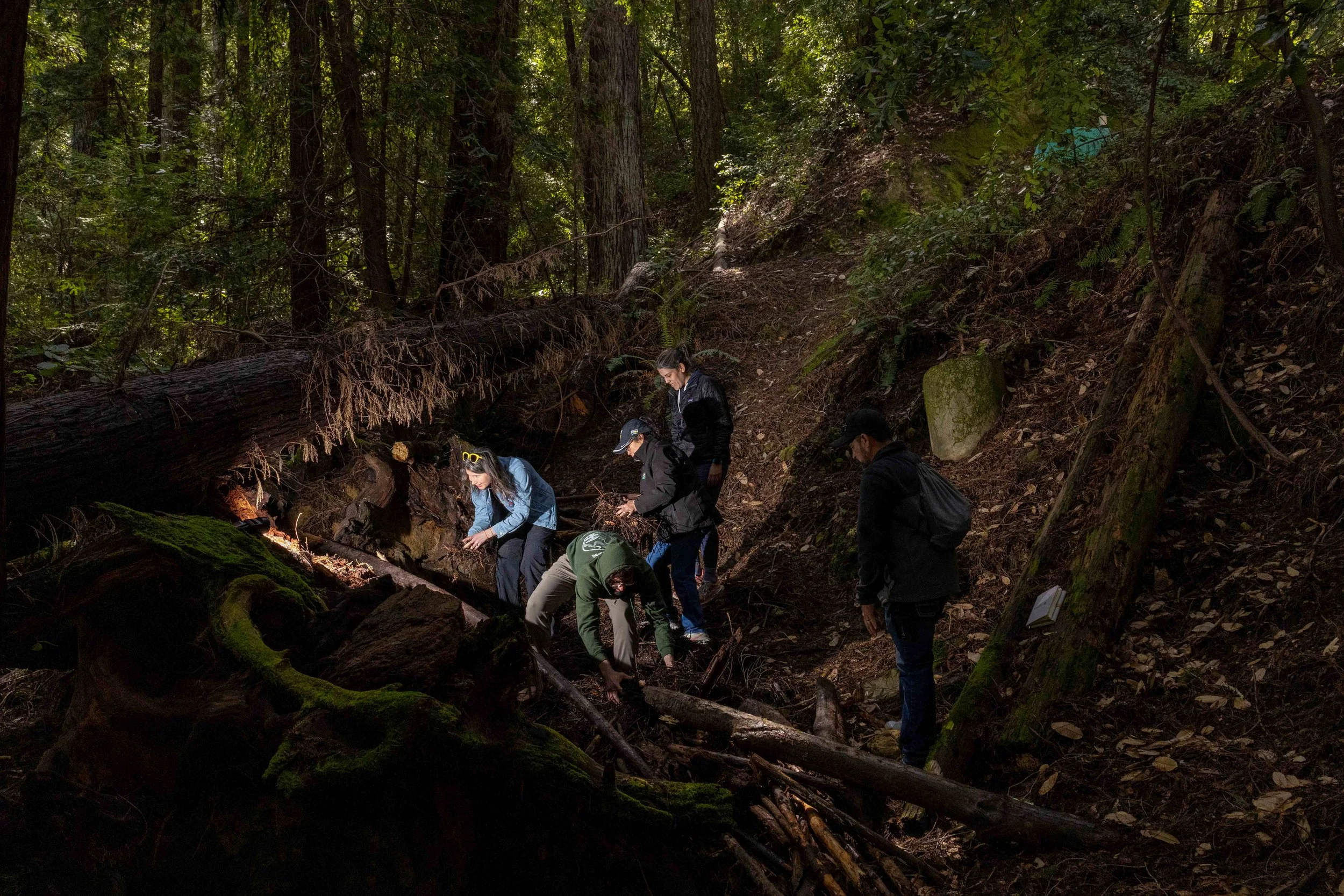 Participants work together to build a makeshift shelter during a wilderness survival camp at Boulder Creek Boy Scout Reservation in Boulder Creek on Saturday, April 5, 2025. (Amanda Andrade-Rhoades/The San Francisco Standard)
