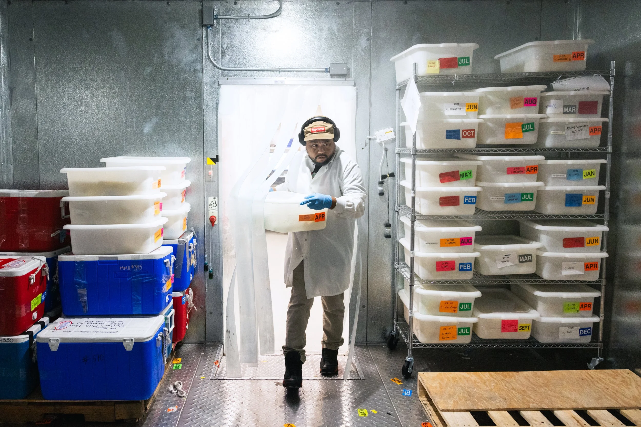 Gerald Astrero puts a batch of donated Brest milk into a freezer at the Mothers’ Milk Bank California in San Jose on September 26, 2024. (Amanda Andrade-Rhoades/The San Francisco Standard)