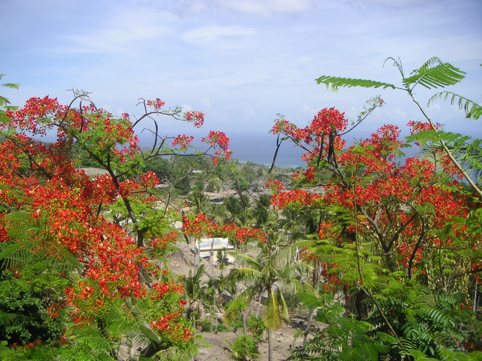 Baucau, November 2005.JPG