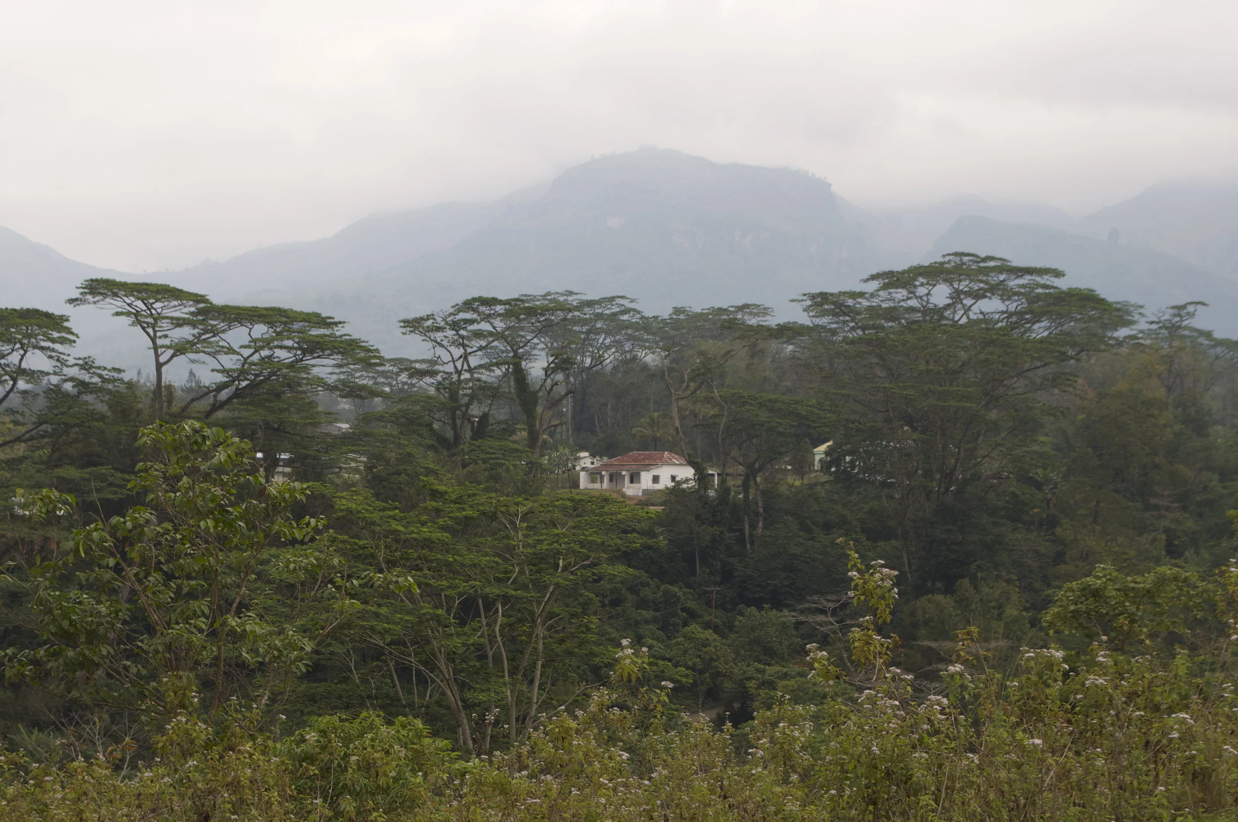 DSC_0302.jpg