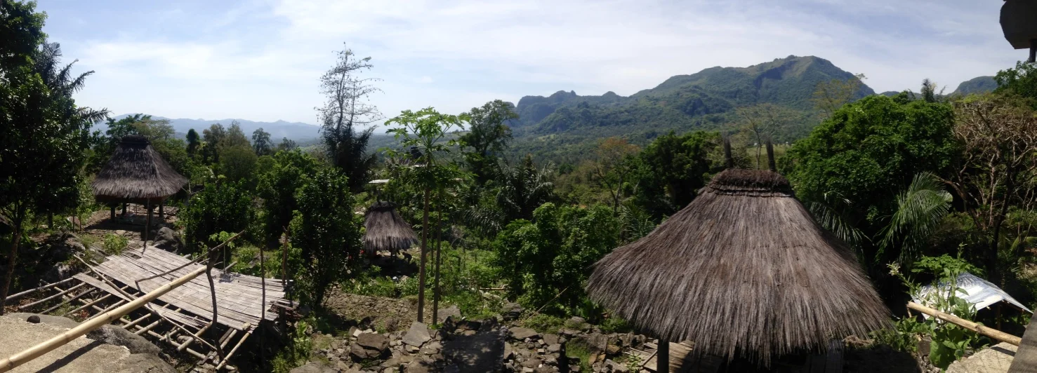 View of Mt. Matebian, Uartu Carbau, Viqueque.