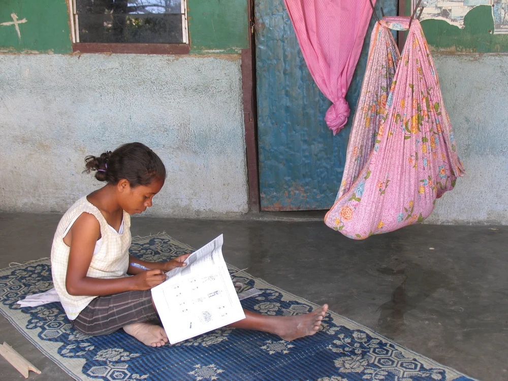 A+young+woman+minding+a+baby+completes+survey,+suco+Sau,+Manatuto+2009.jpg