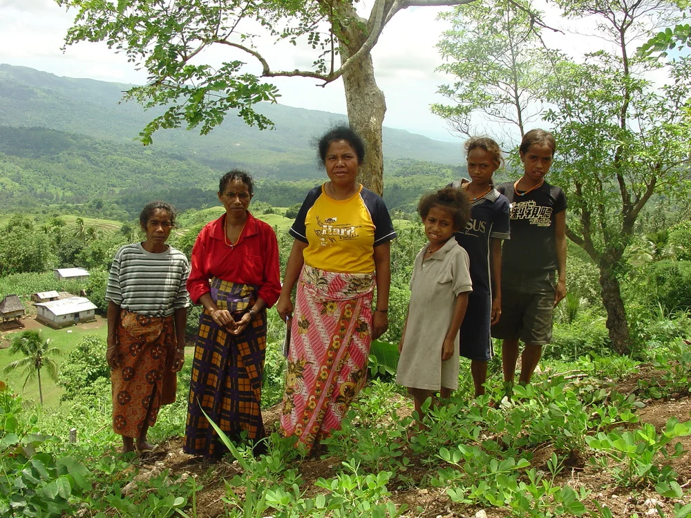 Barikafa,+Luro,+January+2007.jpg