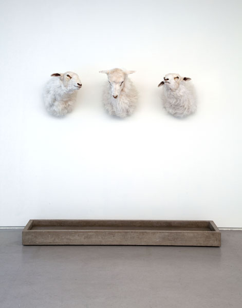 Cold Hands, Warm Heart, 2009. mixed media, water pump, water, taxidermy sheep