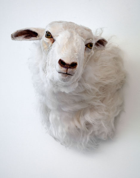 Cold Hands, Warm Heart (detail), 2009. mixed media, water pump, water, taxidermy sheep