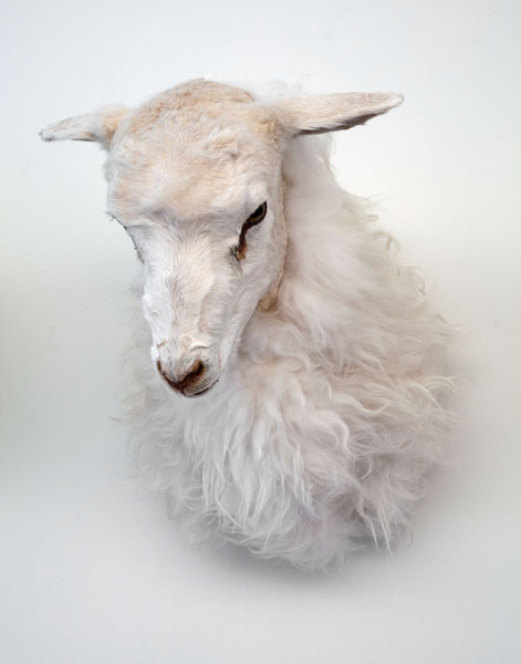 Cold Hands, Warm Heart (detail), 2009. mixed media, water pump, water, taxidermy sheep