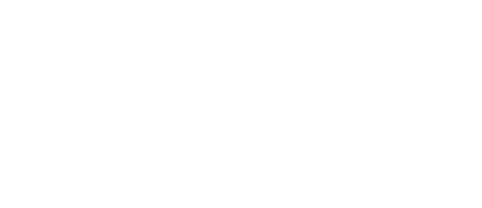 Casey Mink violinist