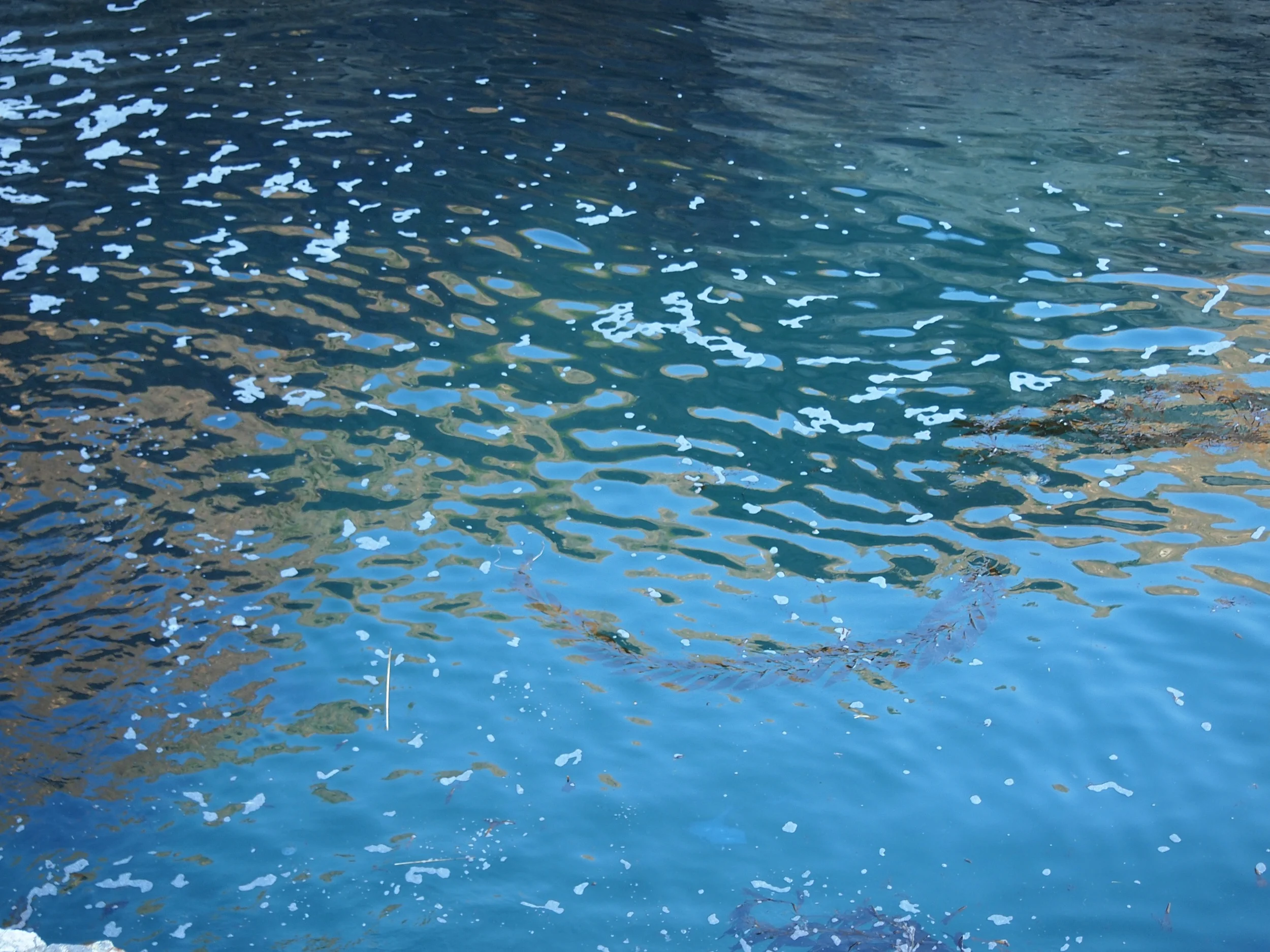 water painting.jpeg