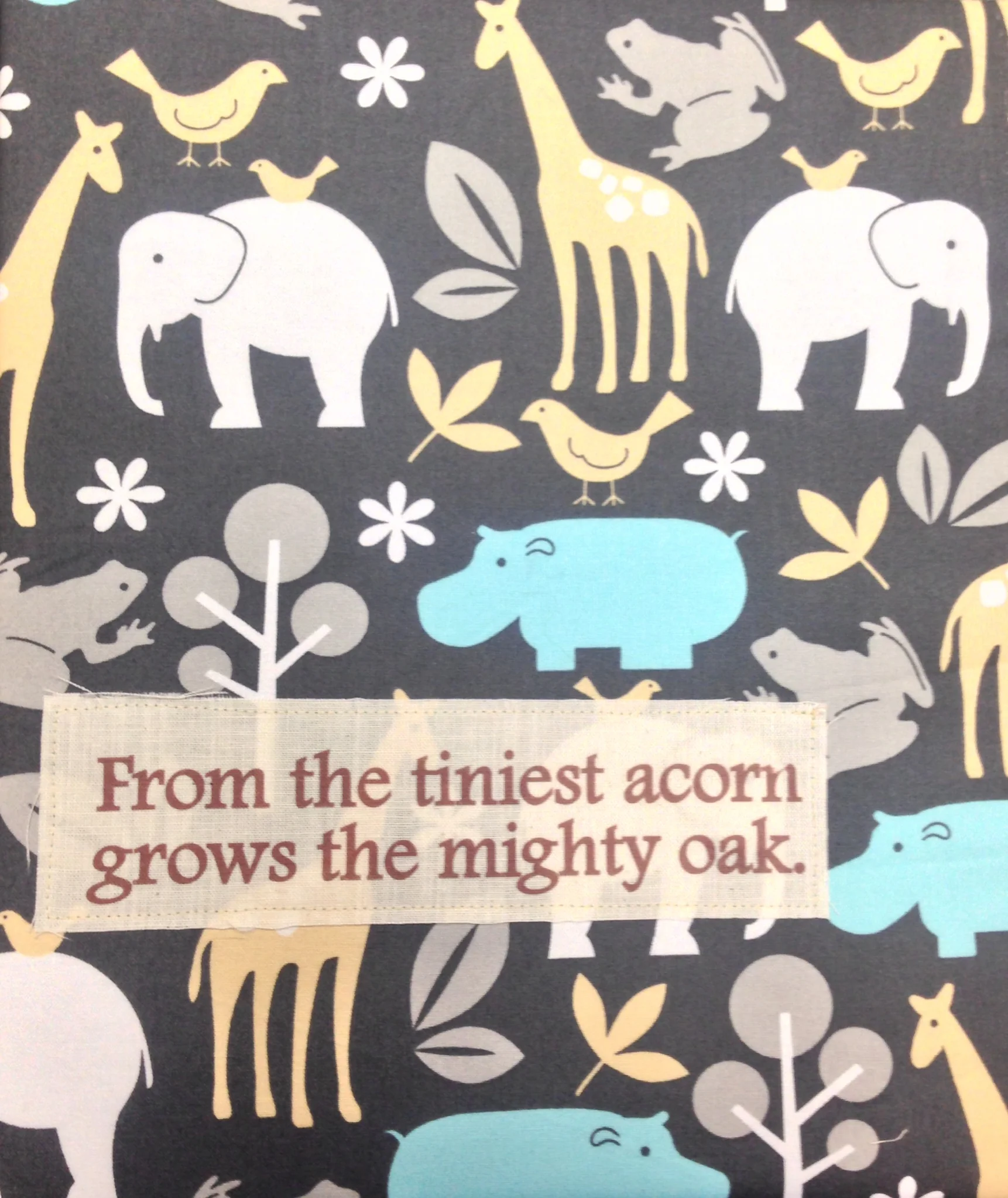 the tiniest acorn.JPG