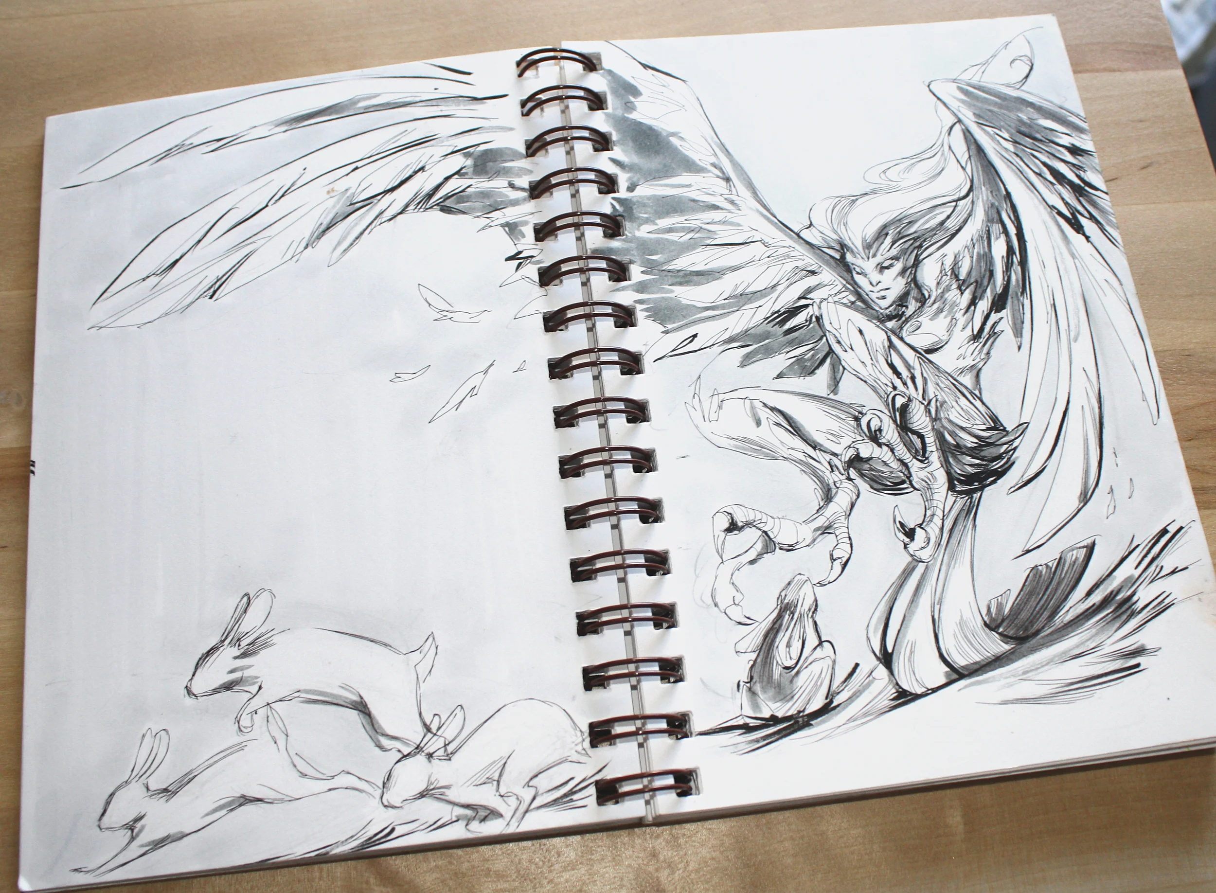 HARPY2.jpg