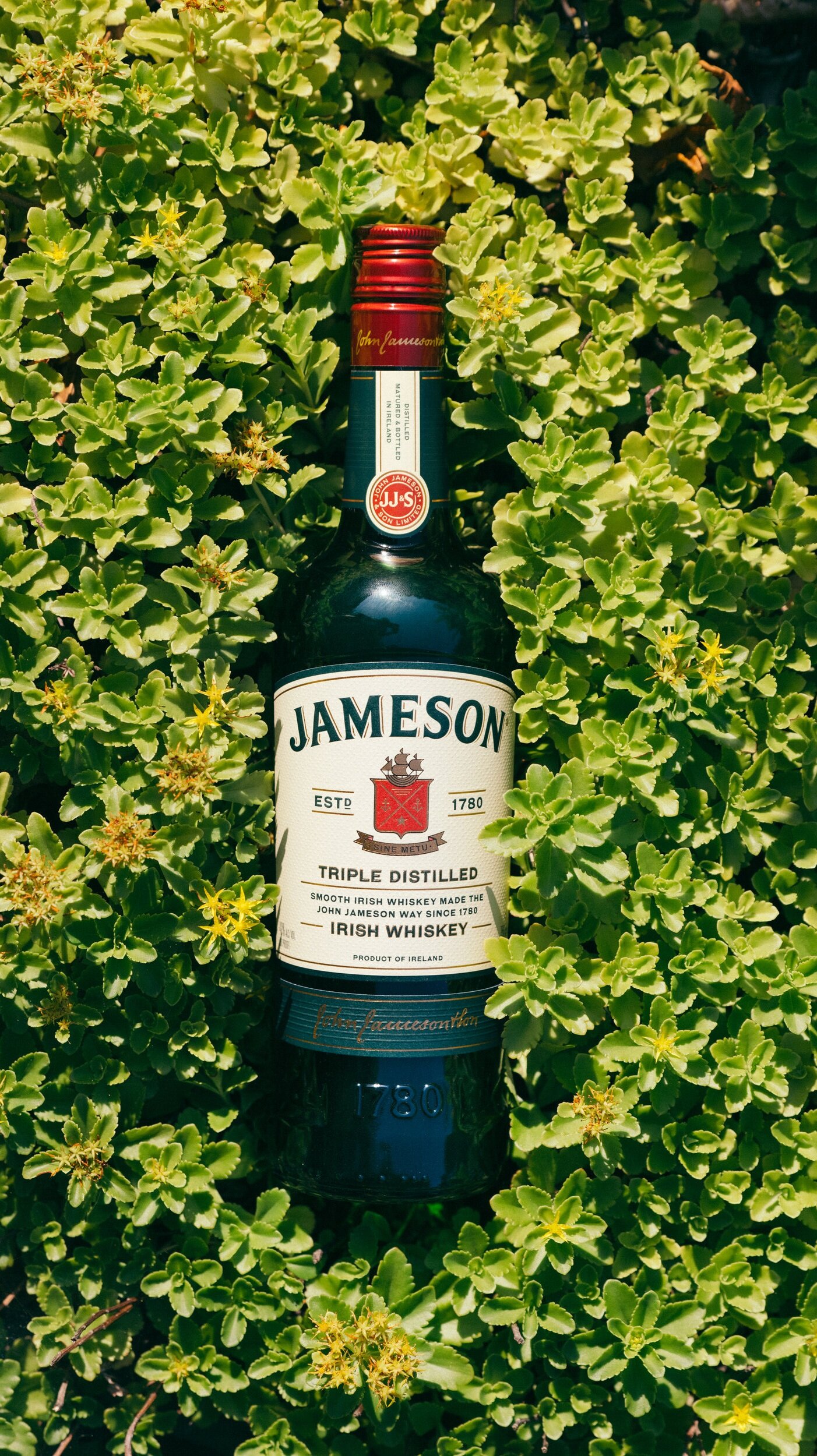 JAM_F21_JORIG_SummerSocialShoot_PRODUCT_Uncropped_Bottle-1035807.jpg