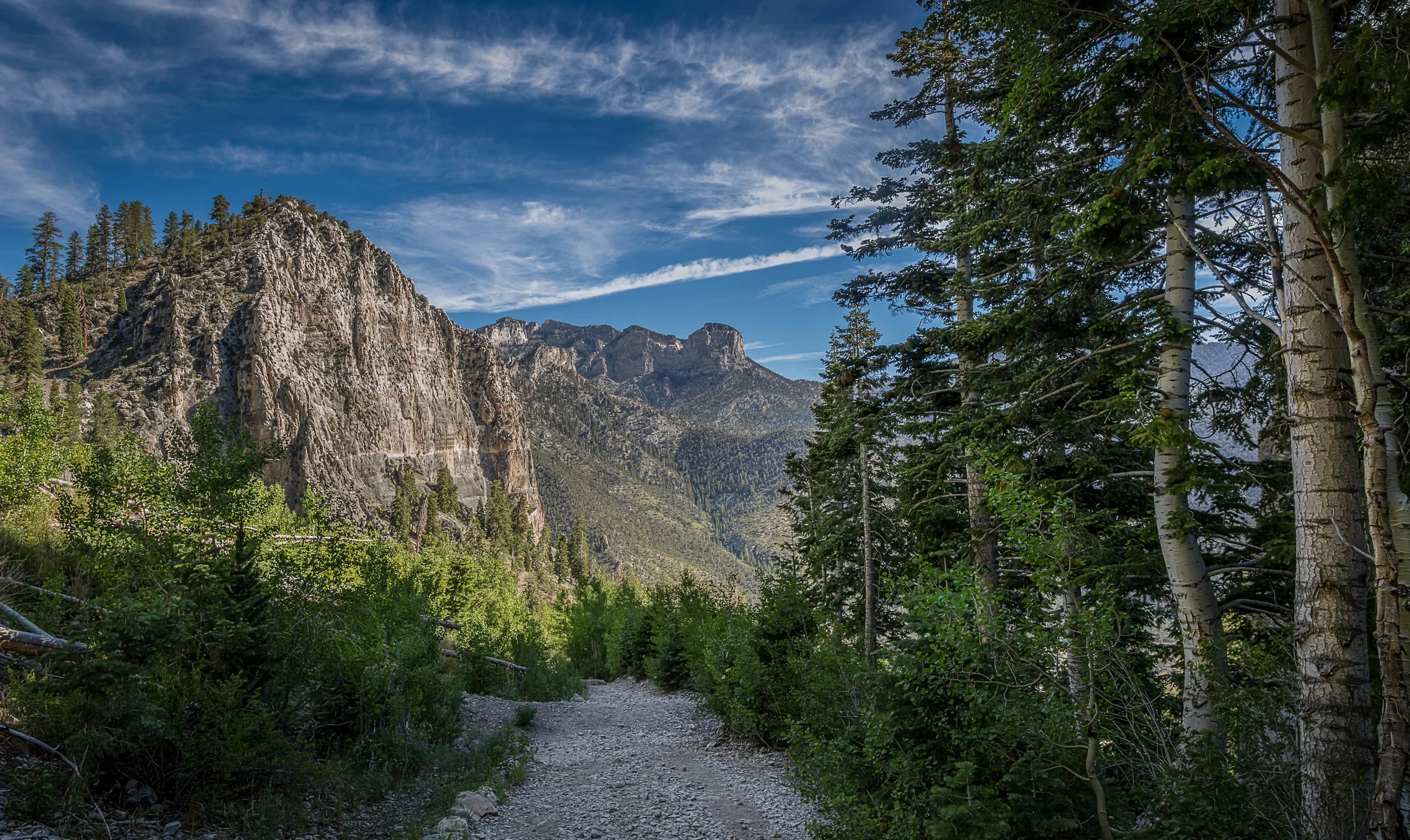 Cathedral Rock