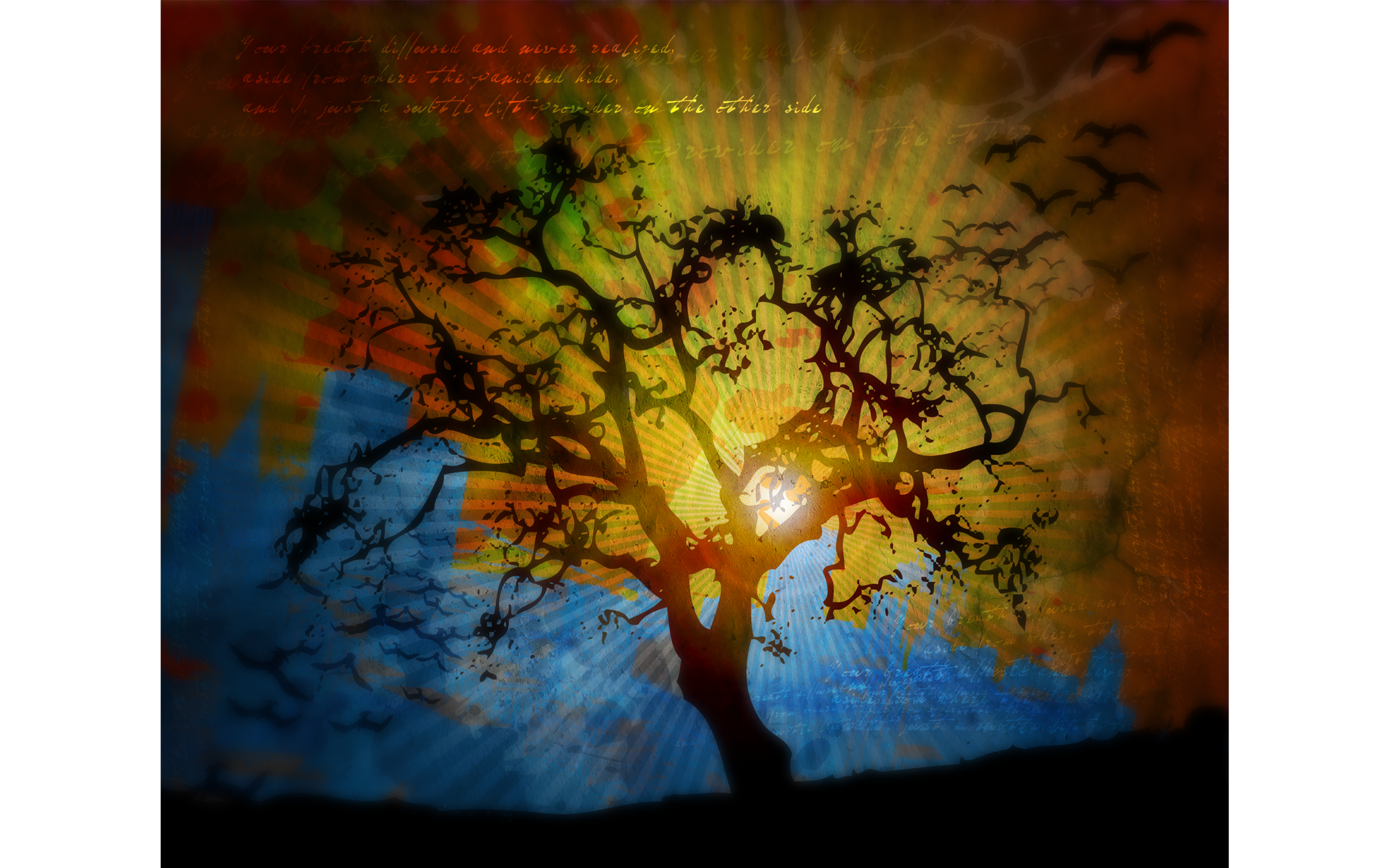 Subtle Lift Provider