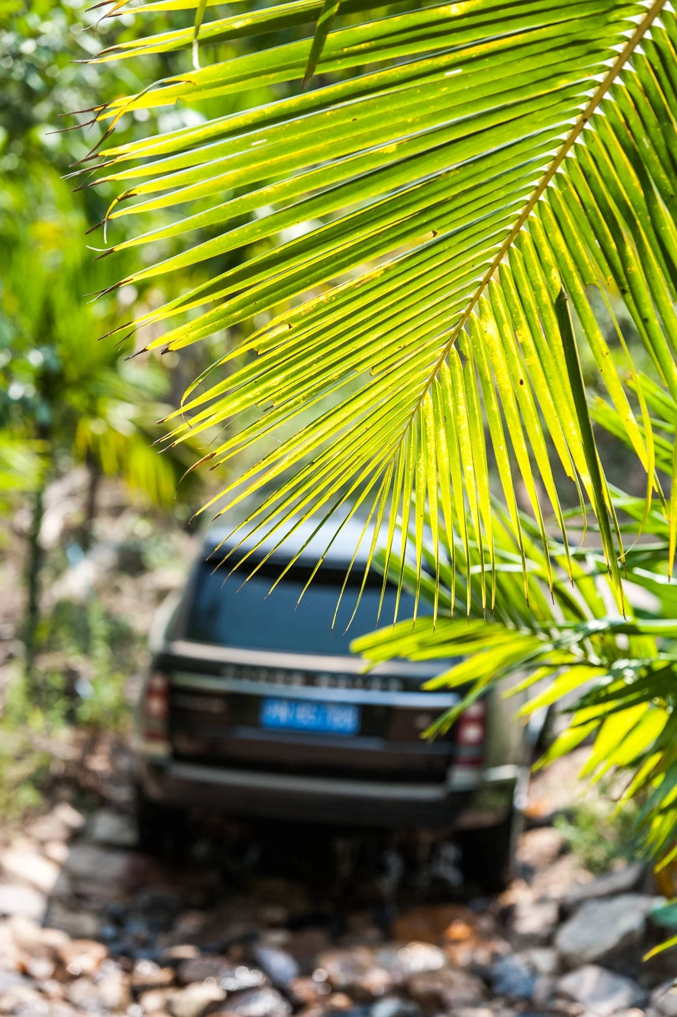 Range Rover Sanya 2013 - CRM-205.JPG