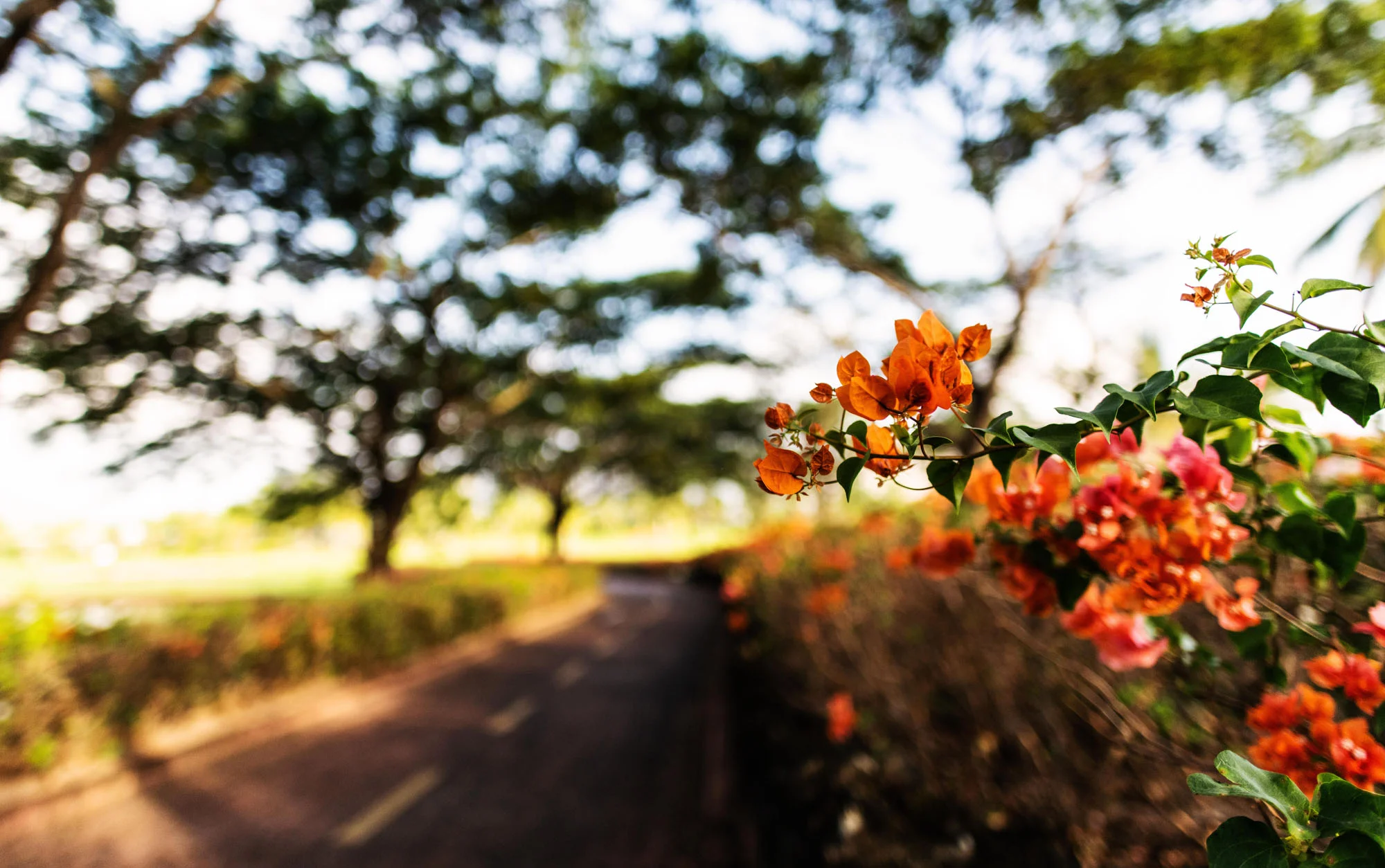 golf-pohotography-051.jpg