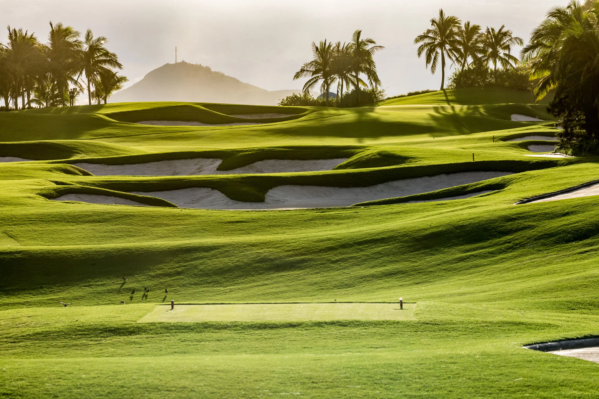 golf-pohotography-075.jpg