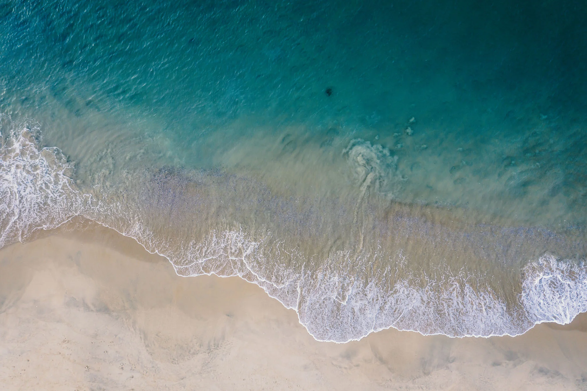 DJI_0508.jpg