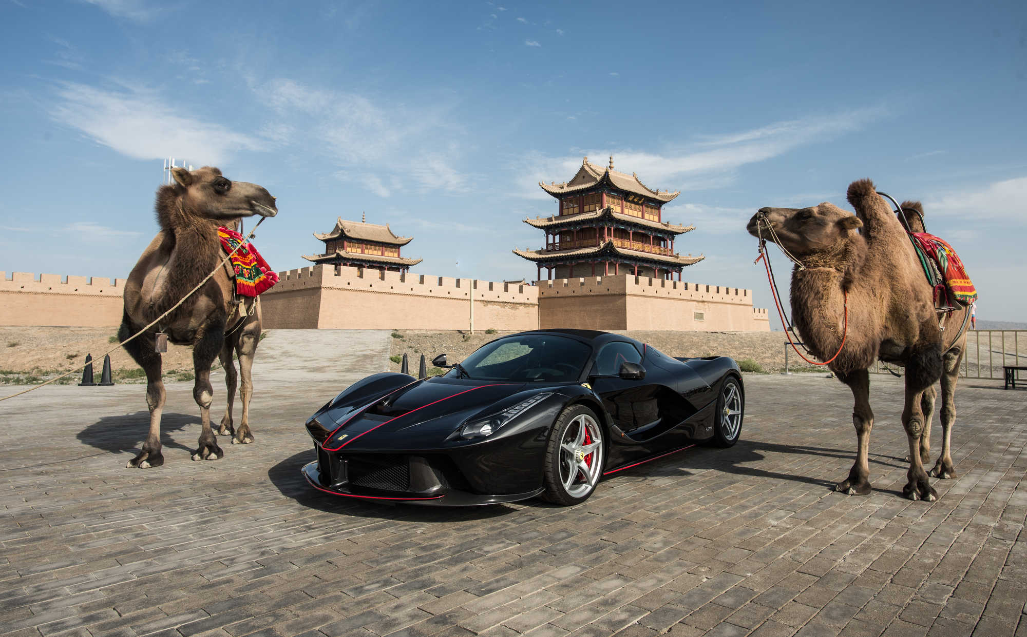 car-pohotography-012.JPG