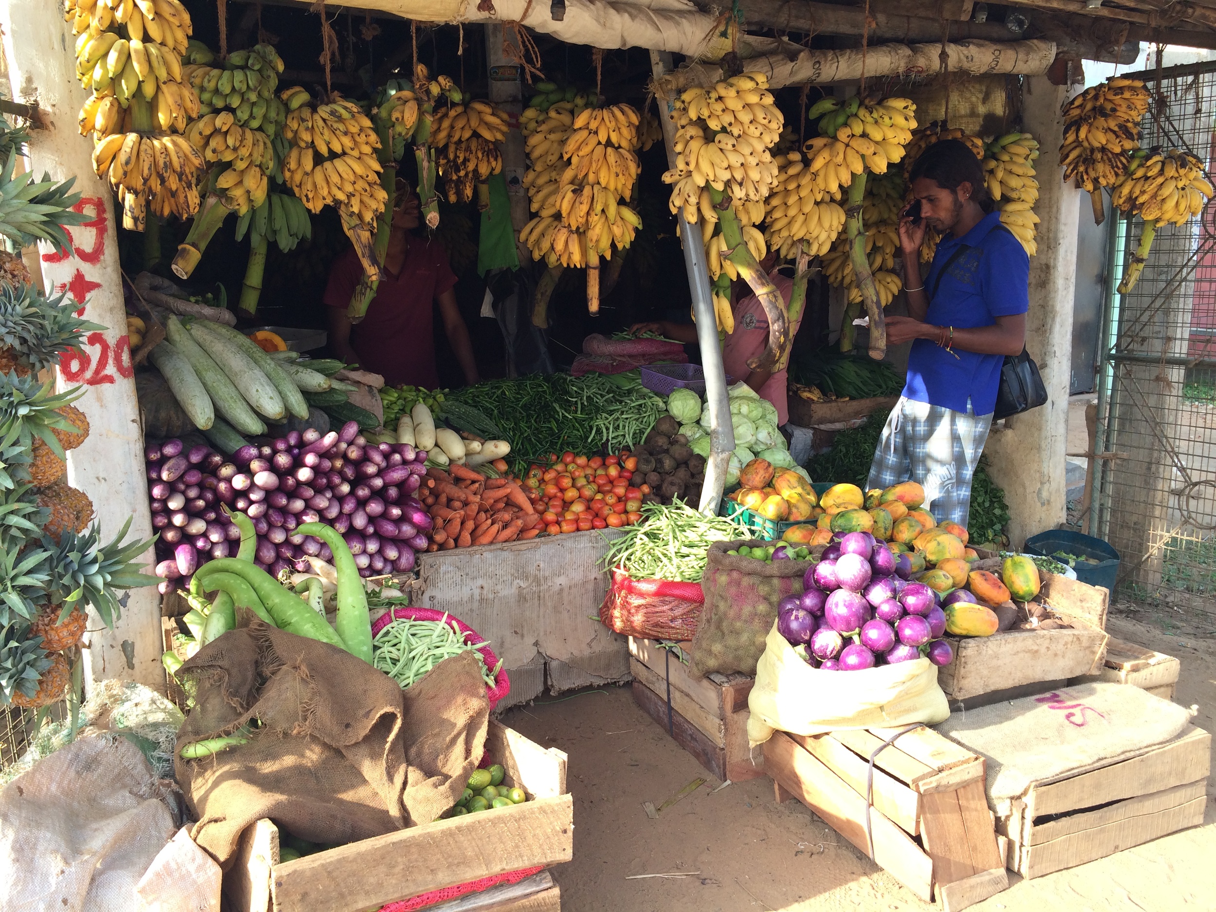 Kalpitiya vergetable market