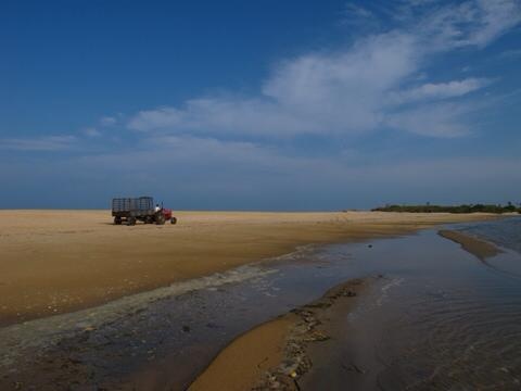 Lonely beaches