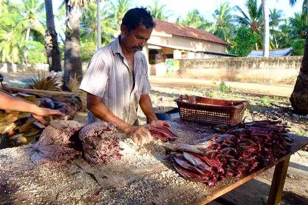 Visit Kalpitiya