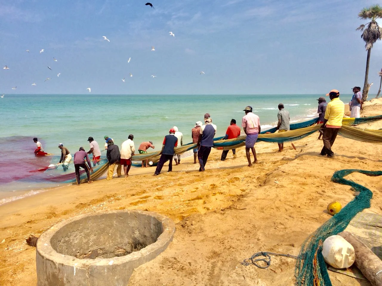 Kalpitiya fishing