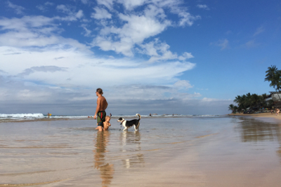 kite-and-surf-kalpitiya-hikkaduwa.jpg