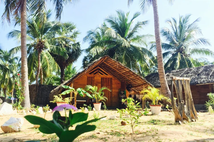 A wooden cabana at Ruuk Village among the palms