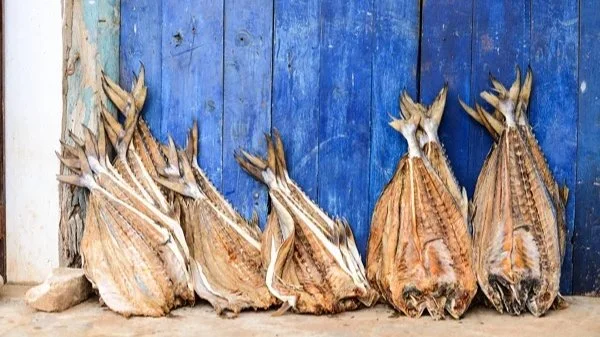 Best "dry fish" made in Kalpitiya
