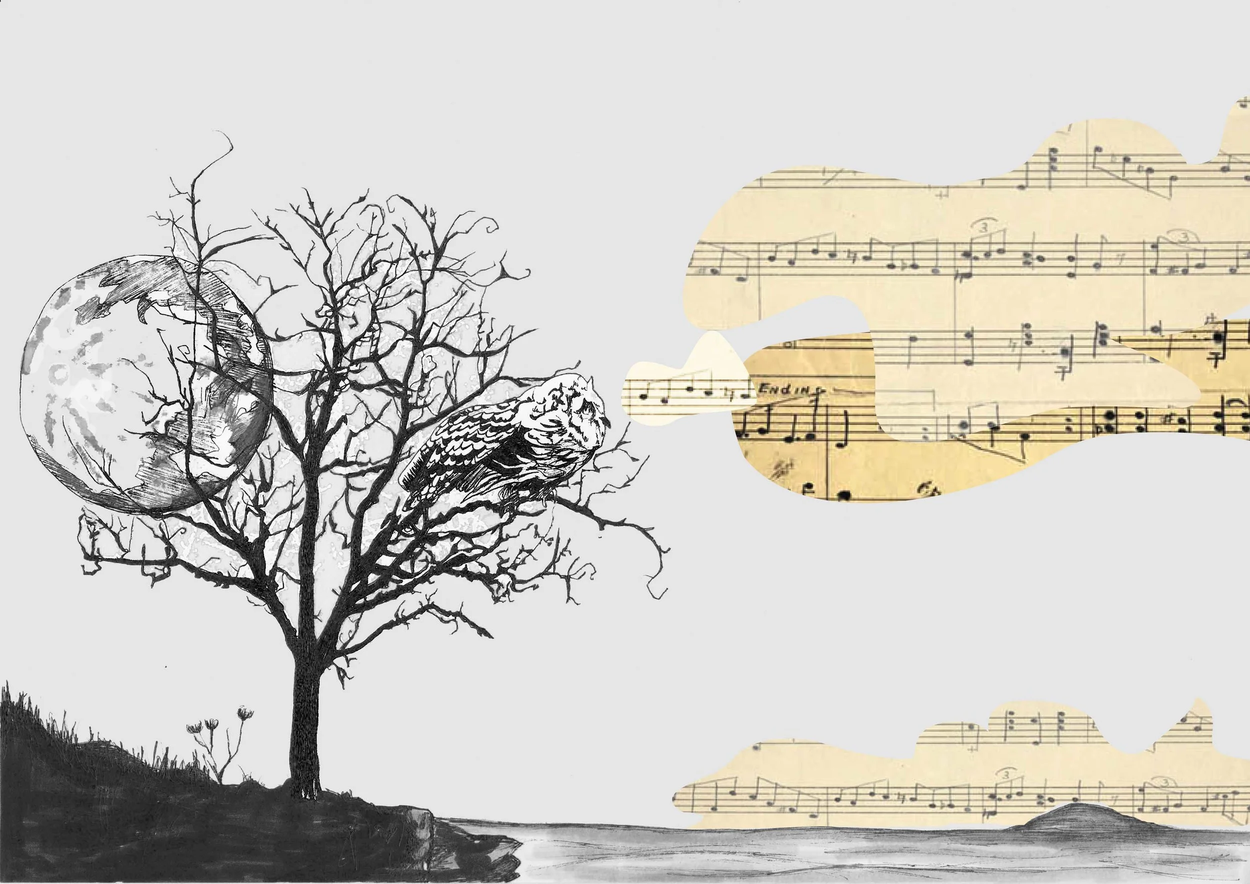 Music In The Trees