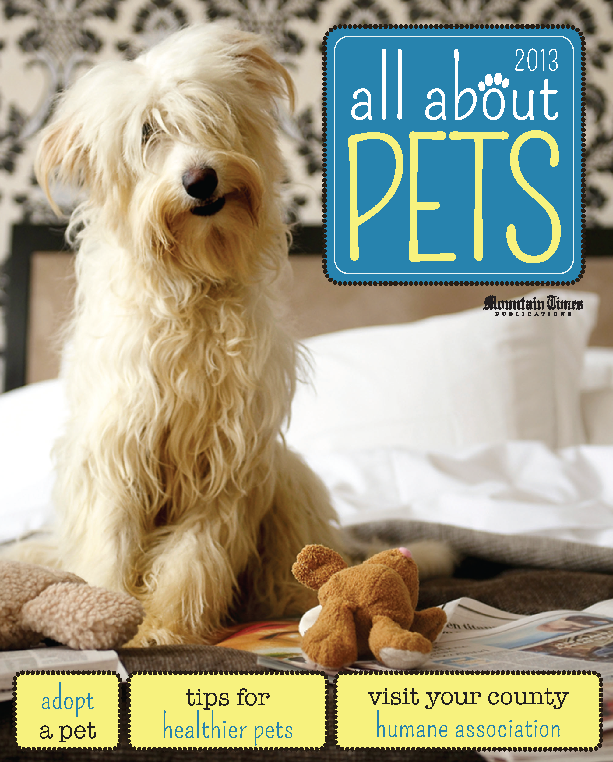 2013 All About Pets cover-01.png