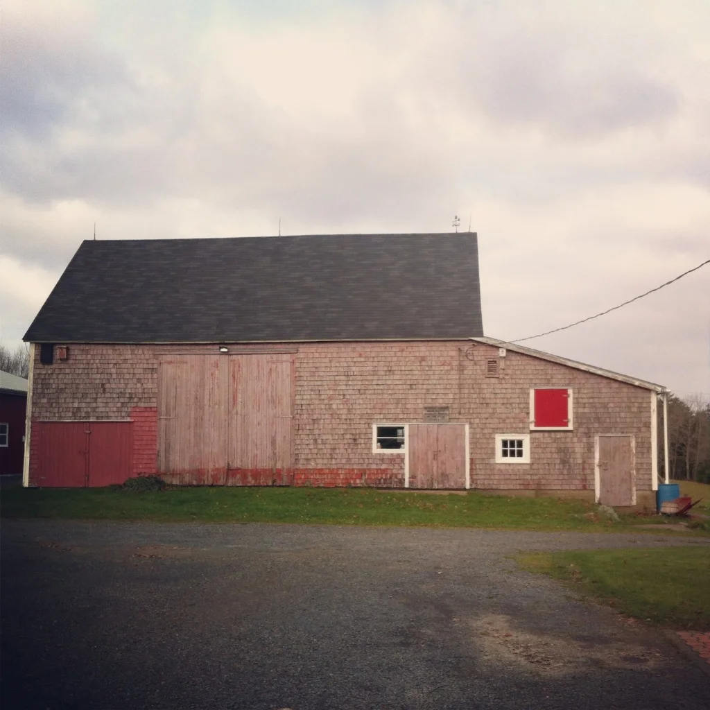 Barnaday Photo 2.jpg