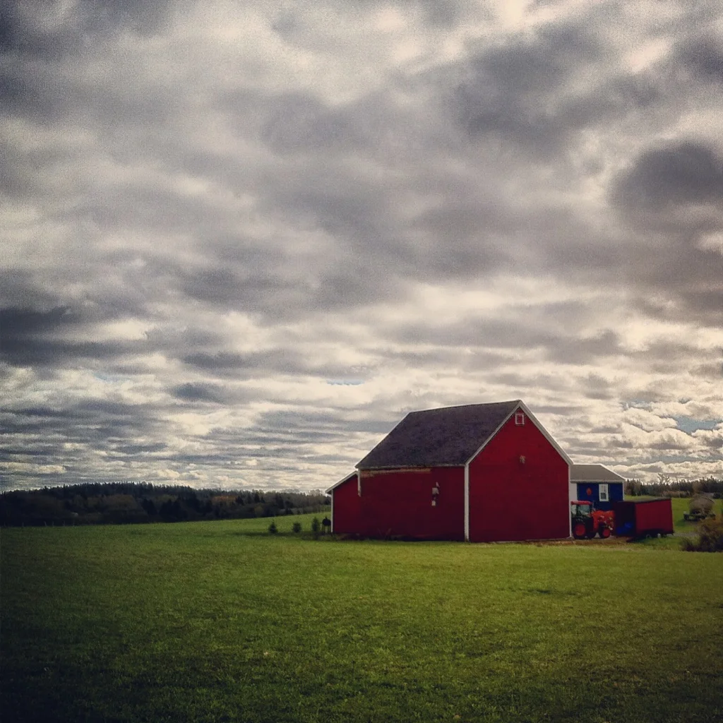 Barnaday Photo 16.jpg