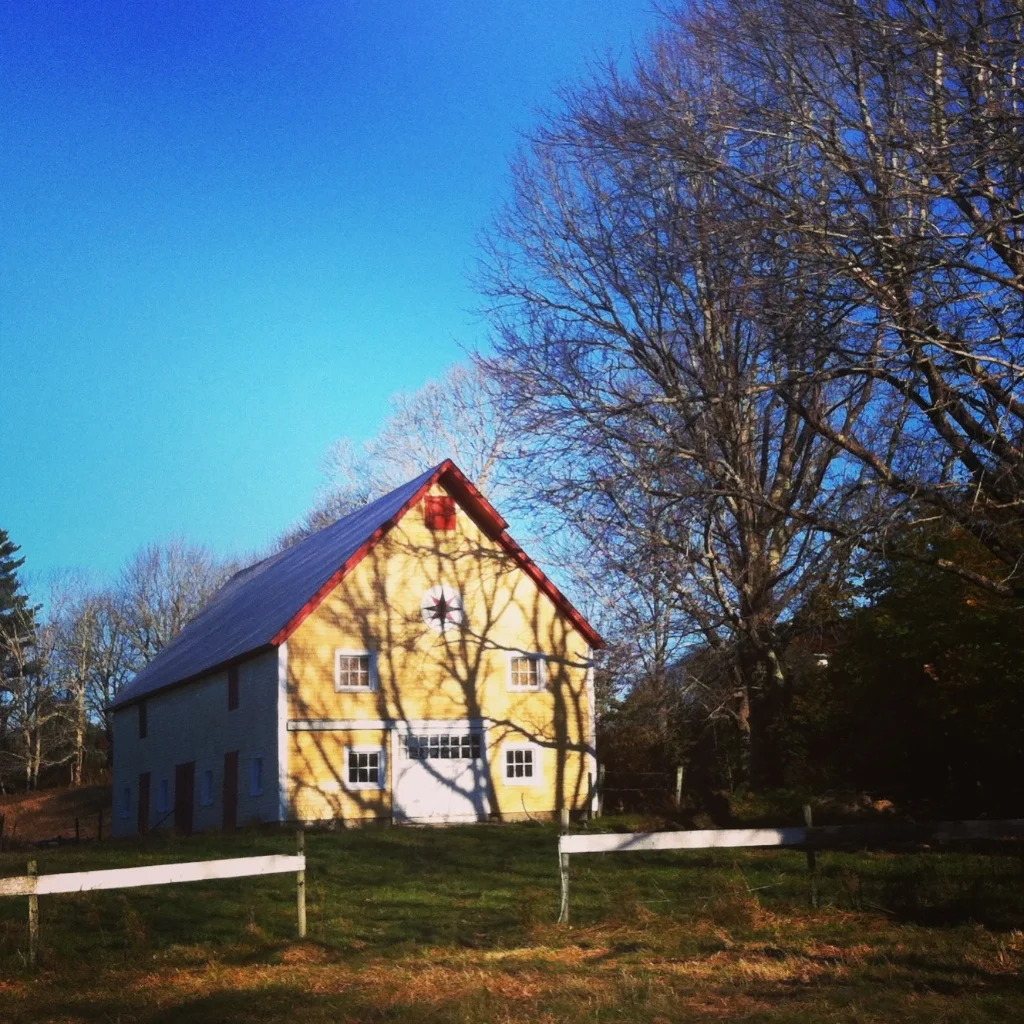 Barnaday Photo 19.jpg