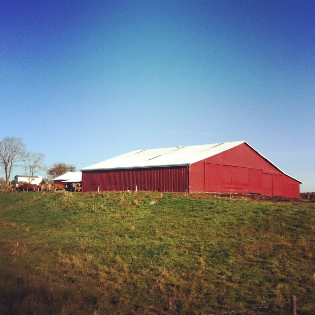 Barnaday Photo 21.jpg