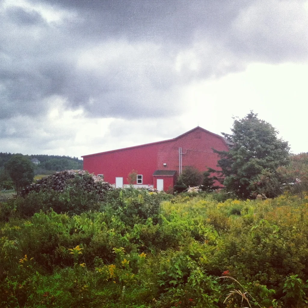 Barnaday Photo 38.jpg