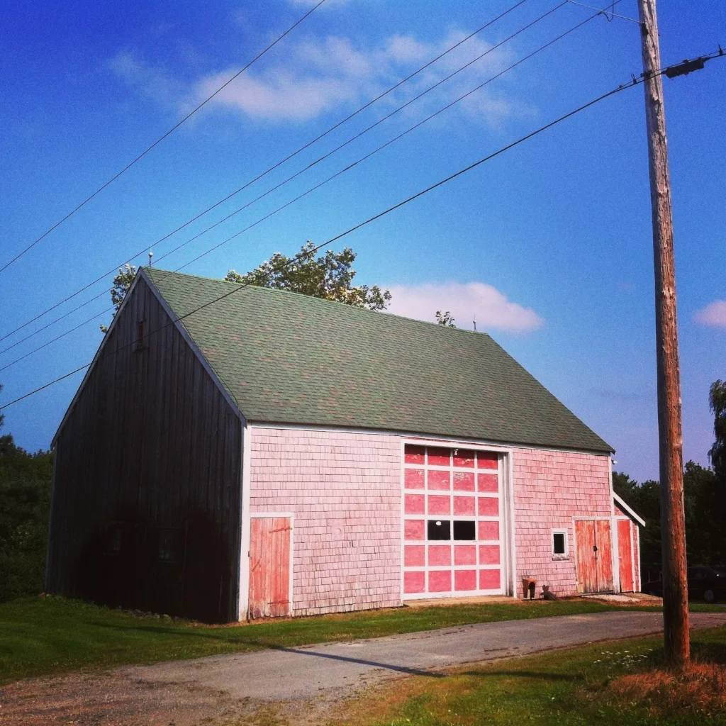 Barnaday Photo 57.jpg