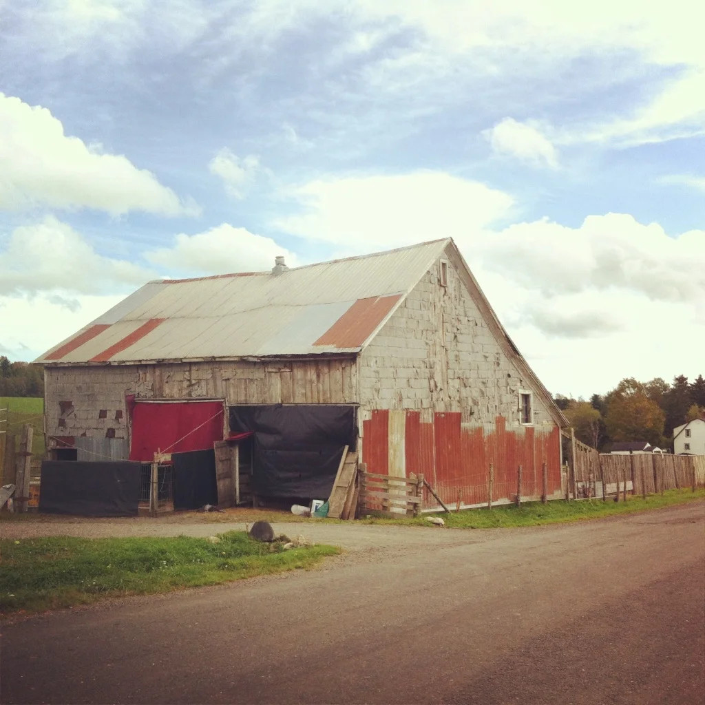 Barnaday Photo 58.jpg