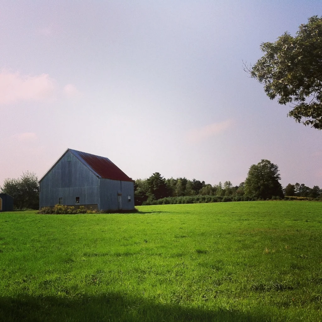 Barnaday Photo 65.jpg