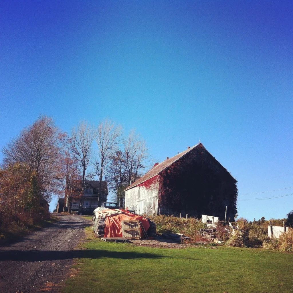 Barnaday Photo 69.jpg