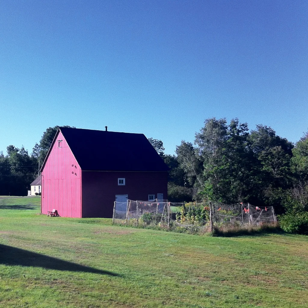 Barnaday Photo 82.jpg