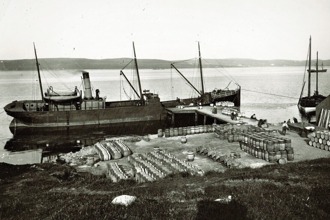 SS Robin loading casked Herring at Lerwick, Shetland. 1895