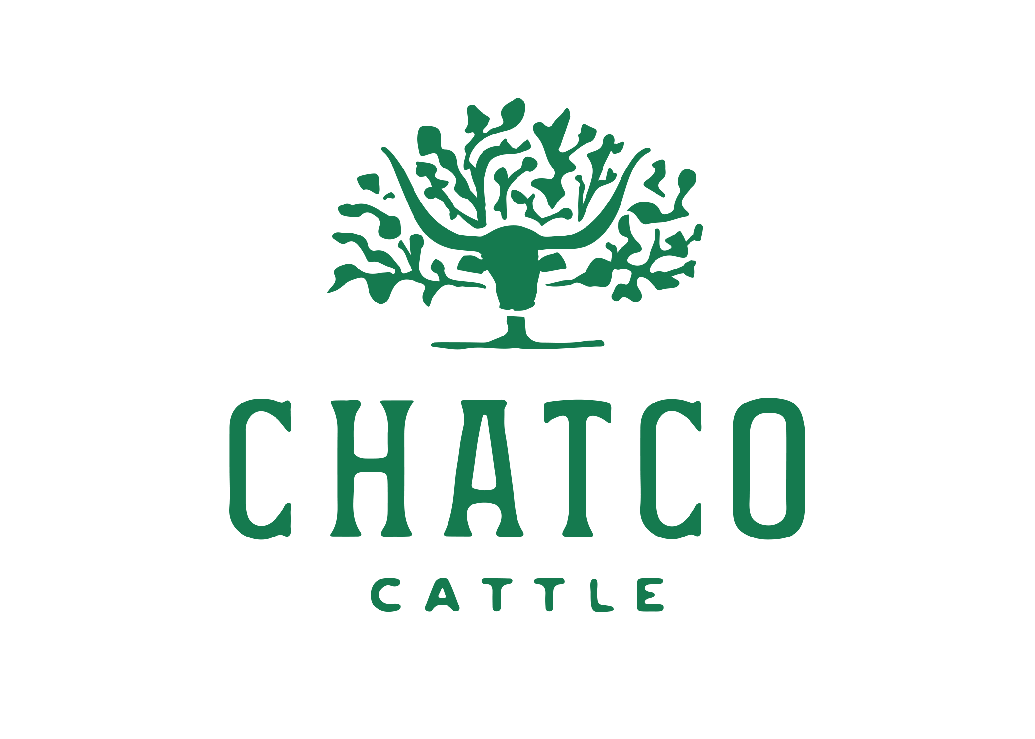 Design by Good South / ChatCo Cattle Logo Design