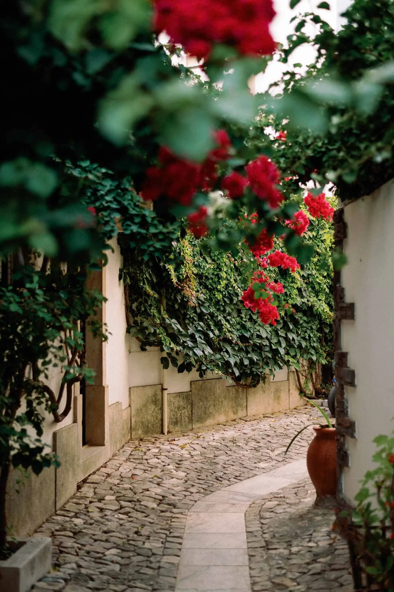 Portugal_Sara_Megan_047.jpg