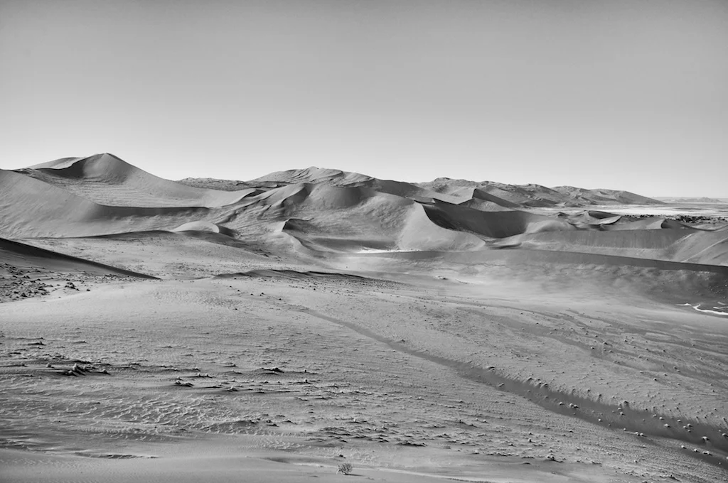 DSC_0807.jpg