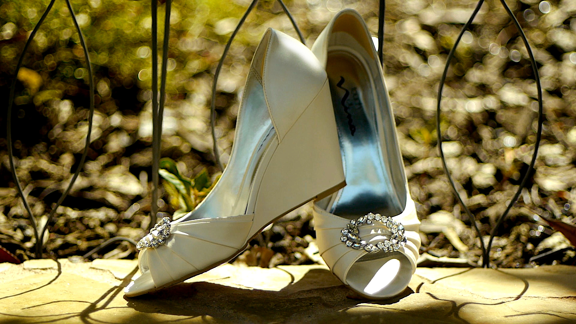 Vimeo photo 2.4.jpg