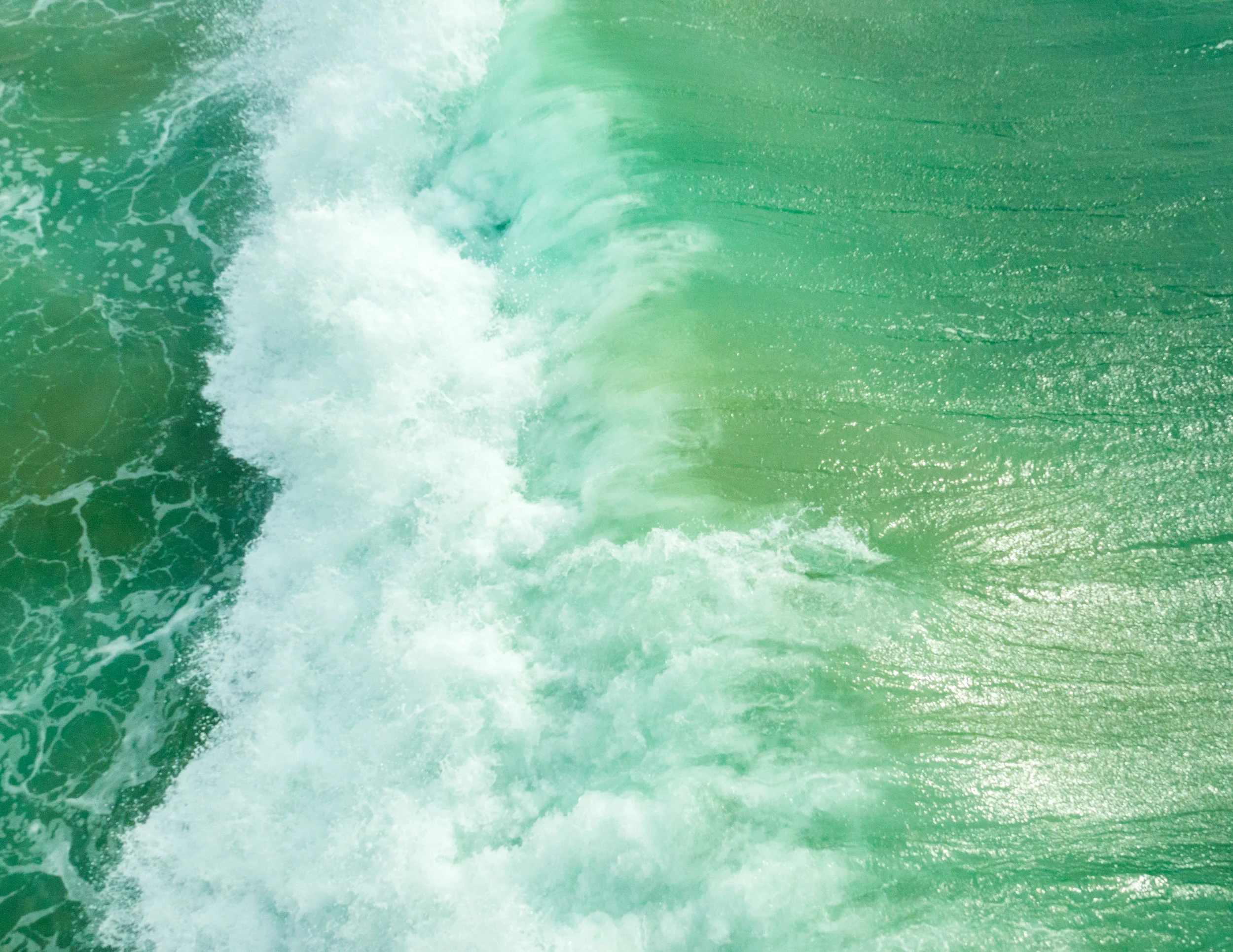 OnTheShores-MexicoLA2017-MexicoJan2016-DSC06937DSC-RX10M3DSC-RX10M3.jpg
