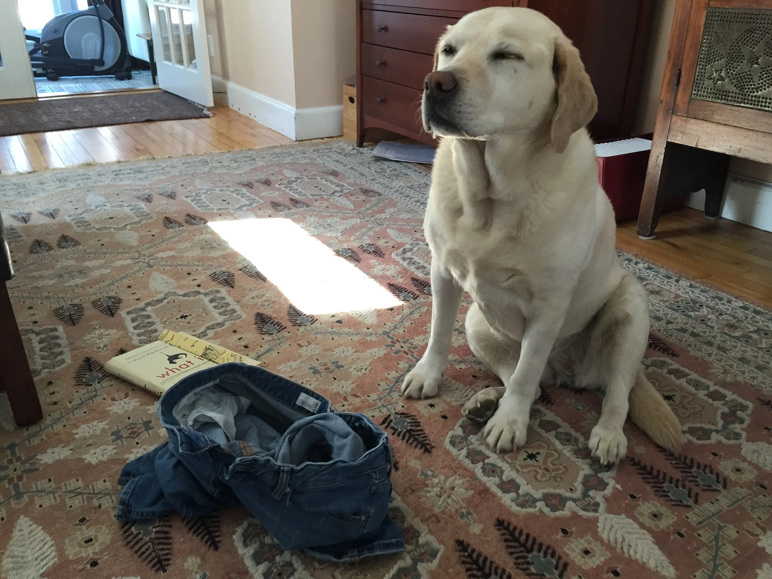 Special Care Instructions